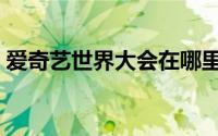 爱奇艺世界大会在哪里看（爱奇艺世界大会）