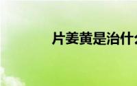 片姜黄是治什么病（片姜黄）