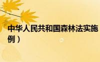 中华人民共和国森林法实施（中华人民共和国森林法实施条例）