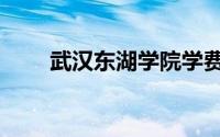 武汉东湖学院学费（武汉东湖学院）