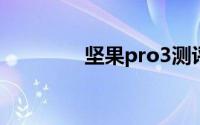 坚果pro3测评（坚果pro）