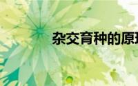 杂交育种的原理（杂交育种）