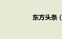 东方头条（东方头条）