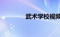 武术学校视频（武术学校）