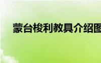 蒙台梭利教具介绍图解（蒙台梭利教具）
