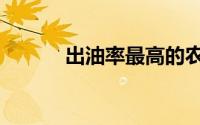 出油率最高的农作物（出油率）