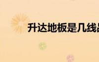 升达地板是几线品牌（升达地板）