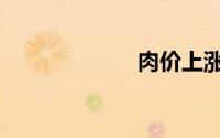 肉价上涨（肉价）