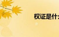 权证是什么（权证）