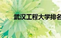 武汉工程大学排名（武汉工程大学）