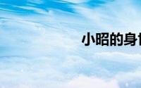 小昭的身世（小昭）