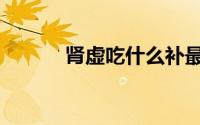 肾虚吃什么补最快最好（肾虚）