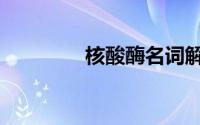 核酸酶名词解释（核酸酶）