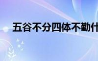五谷不分四体不勤什么意思（五谷不分）