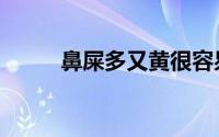 鼻屎多又黄很容易结痂（鼻屎多）