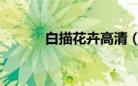 白描花卉高清（白描花卉月季）