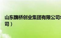 山东魏桥创业集团有限公司年报（山东魏桥创业集团有限公司）