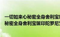 一切如来心秘密全身舍利宝箧印陀罗尼咒书籍（一切如来心秘密全身舍利宝箧印陀罗尼咒）