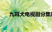 九耳犬电视剧分集剧情介绍（九耳犬）