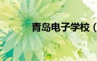 青岛电子学校（青岛电子学校）