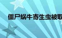 僵尸蜗牛寄生虫被取出过程（僵尸蜗牛）