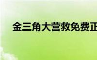 金三角大营救免费正片（金三角大营救）