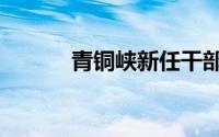 青铜峡新任干部公示（青铜峡）