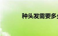 种头发需要多少钱（种头发）