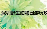 深圳野生动物园游玩攻略（深圳野生动物园）