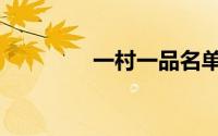 一村一品名单（一村一品）