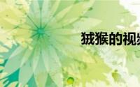 狨猴的视频（狨猴）