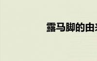 露马脚的由来（露马脚）