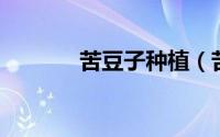 苦豆子种植（苦豆子 原变种）