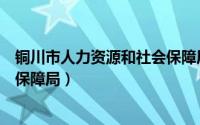 铜川市人力资源和社会保障局通知（铜川市人力资源和社会保障局）