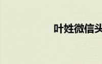 叶姓微信头像（叶姓）