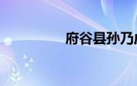 府谷县孙乃虎（府谷县）