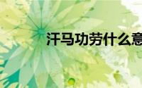 汗马功劳什么意思（汗马功劳）