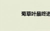 菊草叶最终进化（菊草叶）