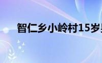 智仁乡小岭村15岁男孩被杀（智仁乡）