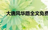 大唐风华路全文免费阅读（大唐风华路）