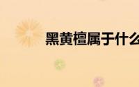 黑黄檀属于什么档次（黑黄檀）