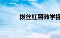 拔丝红薯教学视频（拔丝红薯）