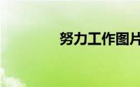 努力工作图片（努力工作）