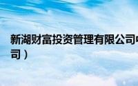 新湖财富投资管理有限公司中标（新湖财富投资管理有限公司）