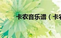 卡农音乐谱（卡农 音乐谱曲技法）
