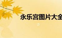 永乐宫图片大全高清（永乐宫）