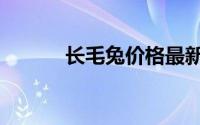 长毛兔价格最新行情（长毛兔）