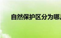 自然保护区分为哪几类（自然保护区）