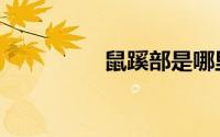 鼠蹊部是哪里（鼠蹊部）
