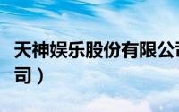 天神娱乐股份有限公司（天神娱乐股份有限公司）